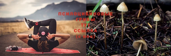 скорость mdpv Надым