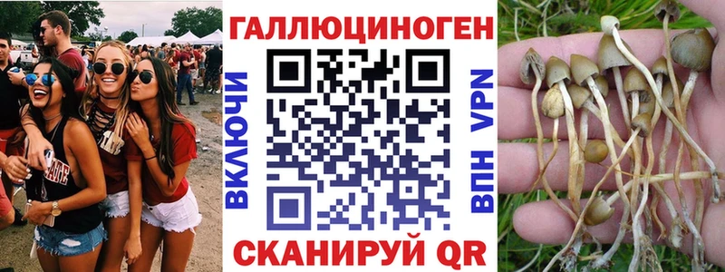Псилоцибиновые грибы MAGIC MUSHROOMS  Стерлитамак 