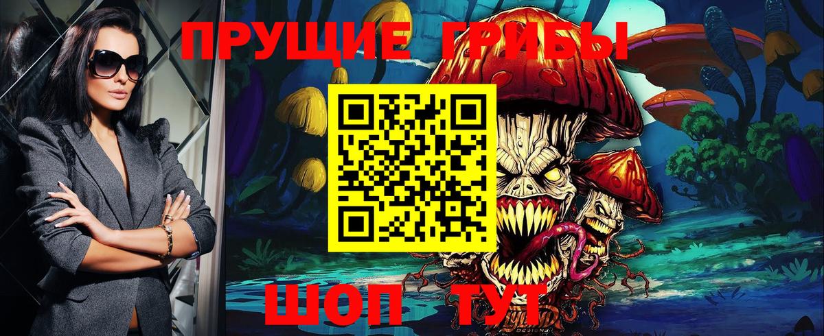 Псилоцибиновые грибы MAGIC MUSHROOMS  наркота  Стерлитамак  Вход с VPN  Галлюциногенные грибы MAGIC MUSHROOMS 