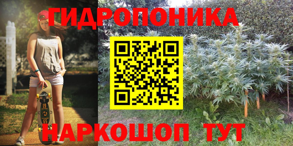 Бошки марихуана Amnesia Стерлитамак